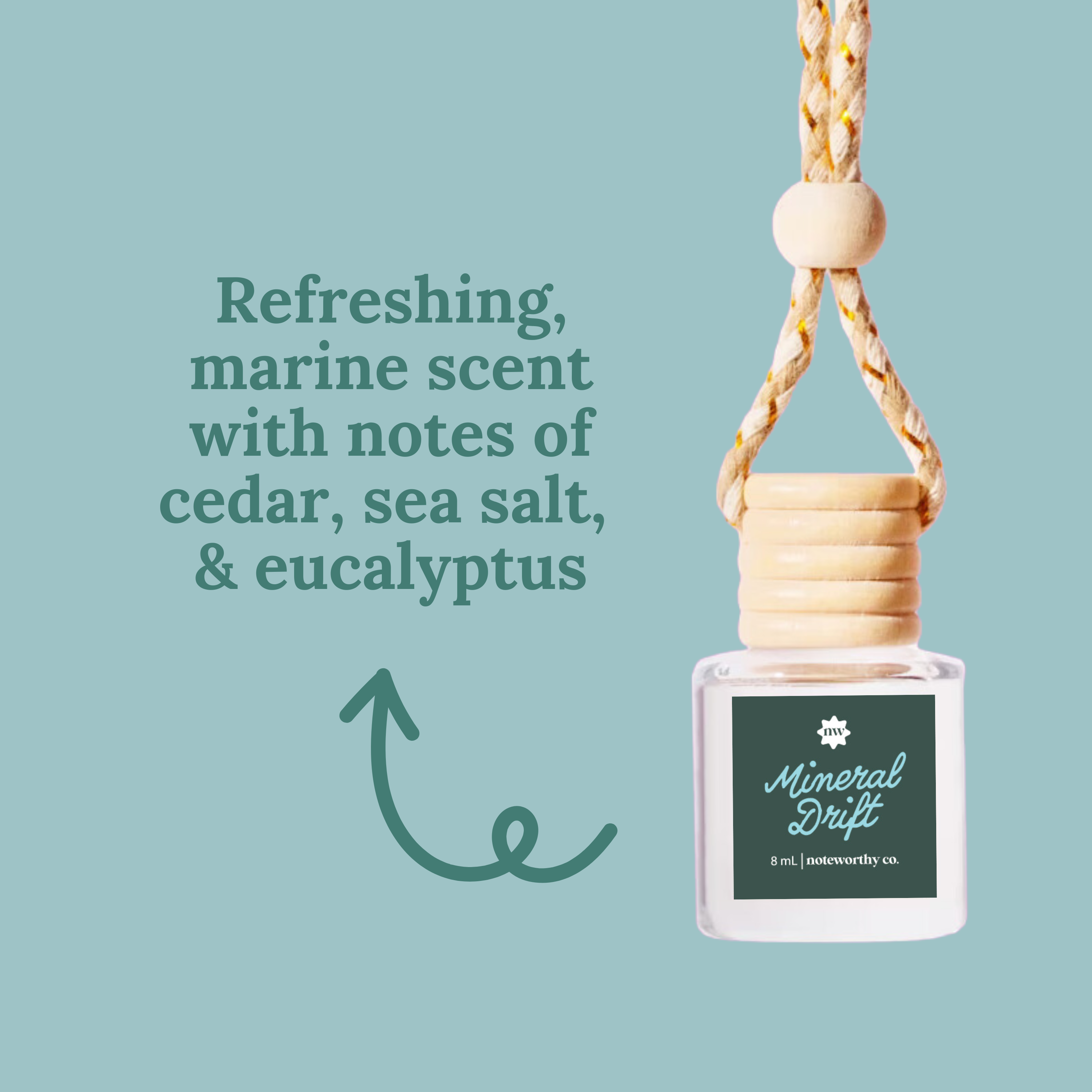 Car Diffusers | Spring & Summer (NEW 2026)