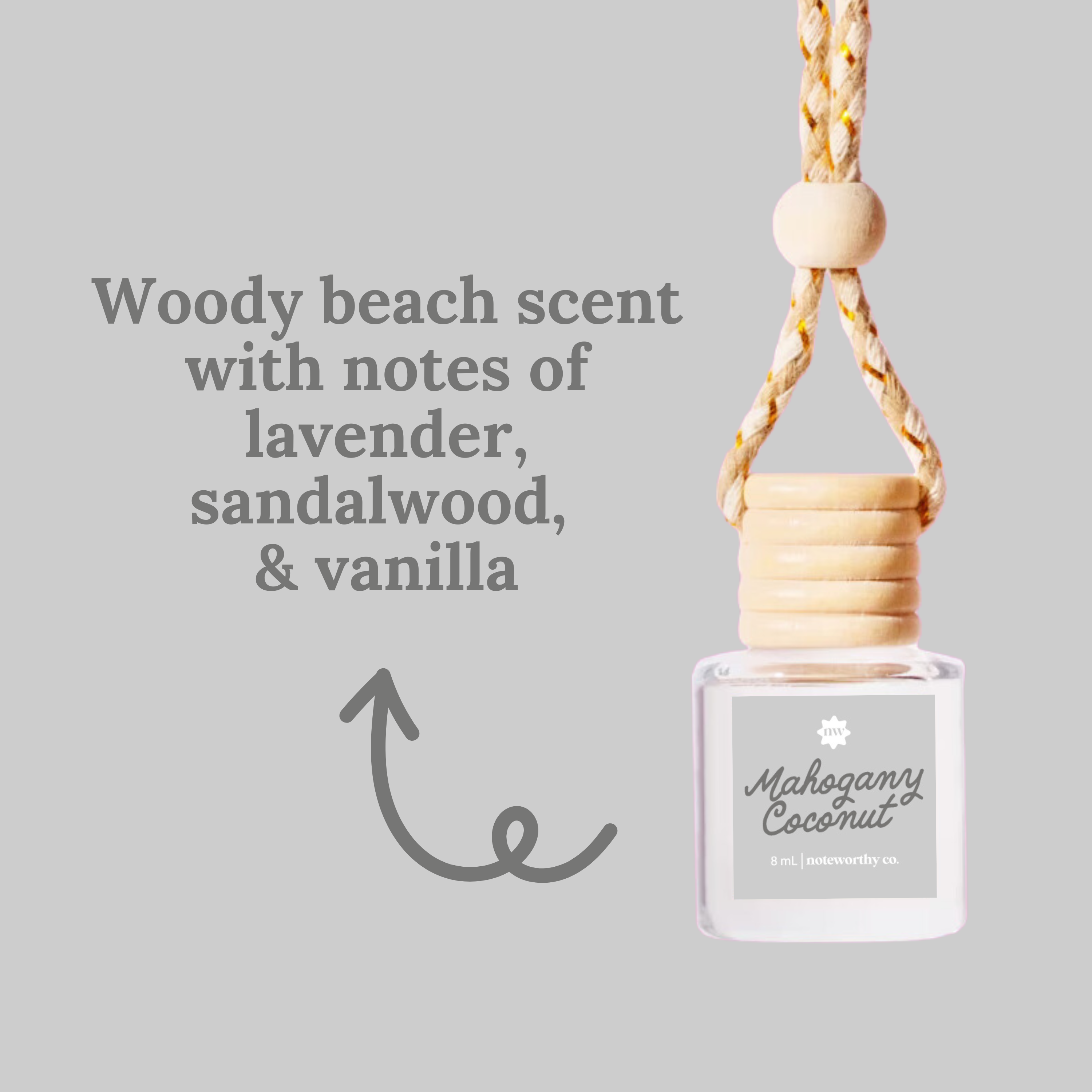 Car Diffusers | Spring & Summer (NEW 2026)