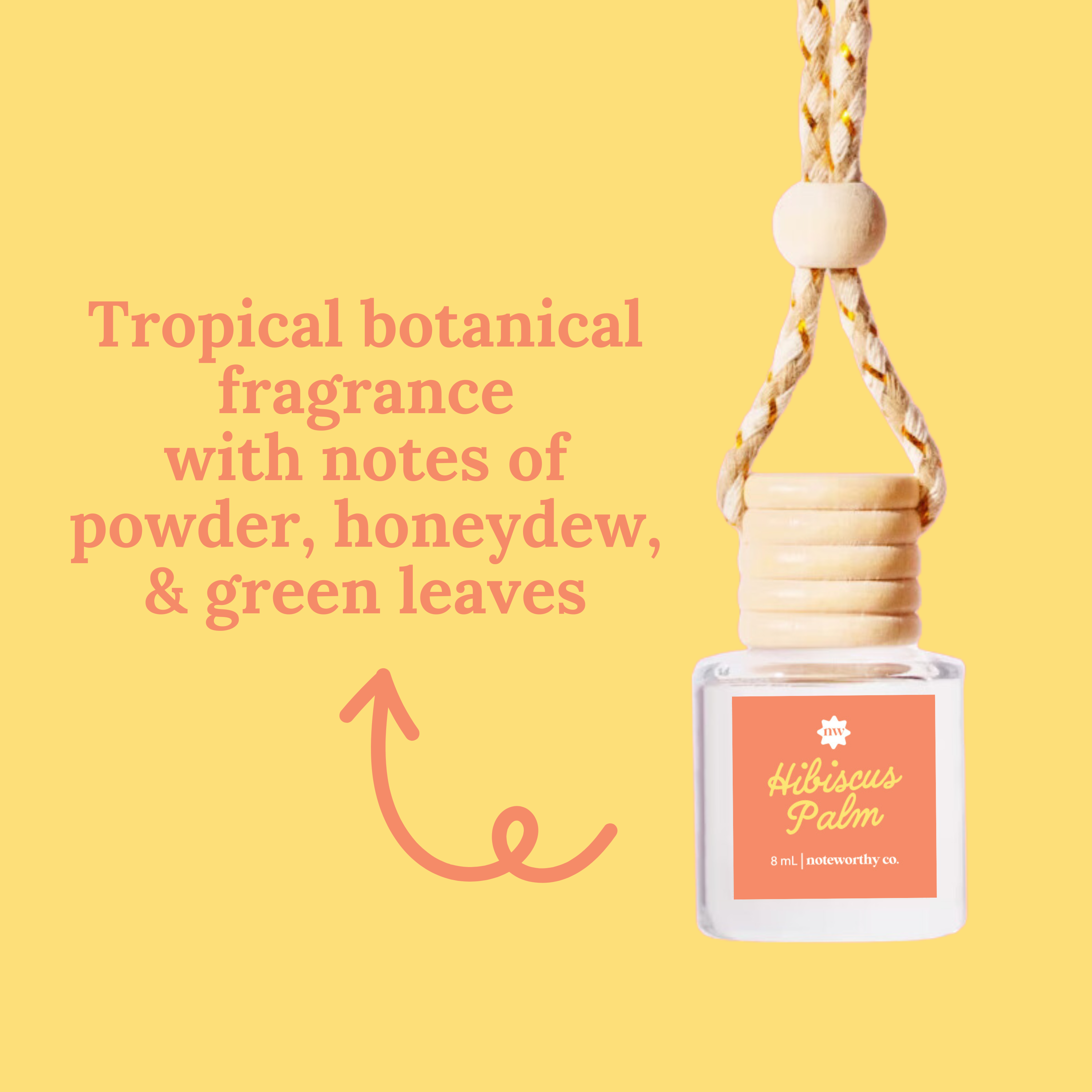 Car Diffusers | Spring & Summer (NEW 2026)