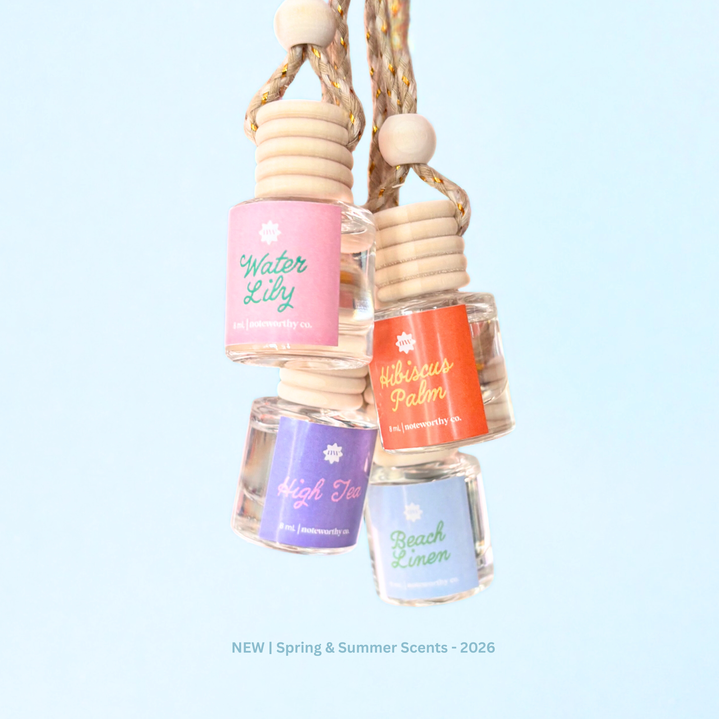 Car Diffusers | Spring & Summer (NEW 2026)