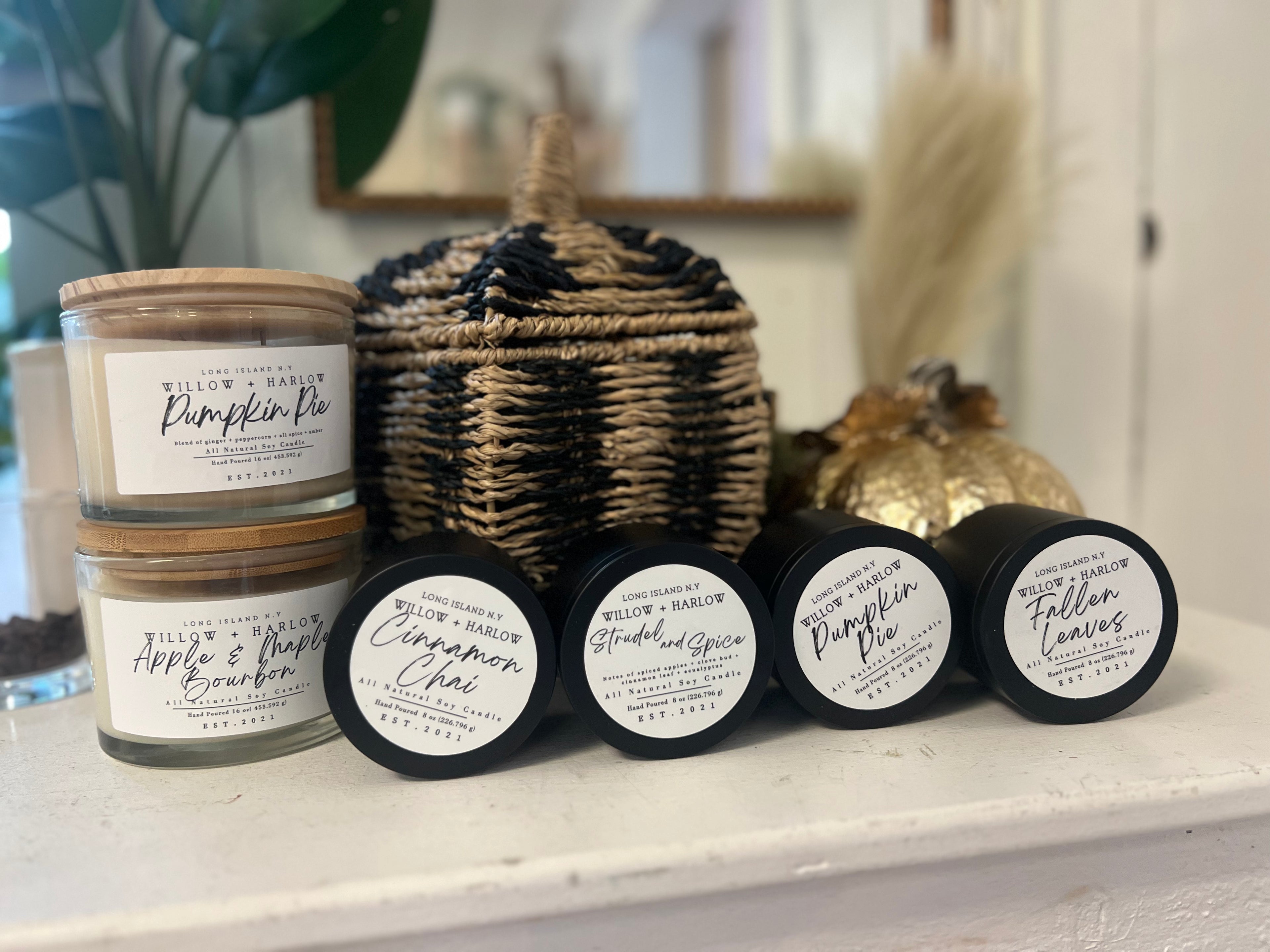 Our Seasonal Favorites