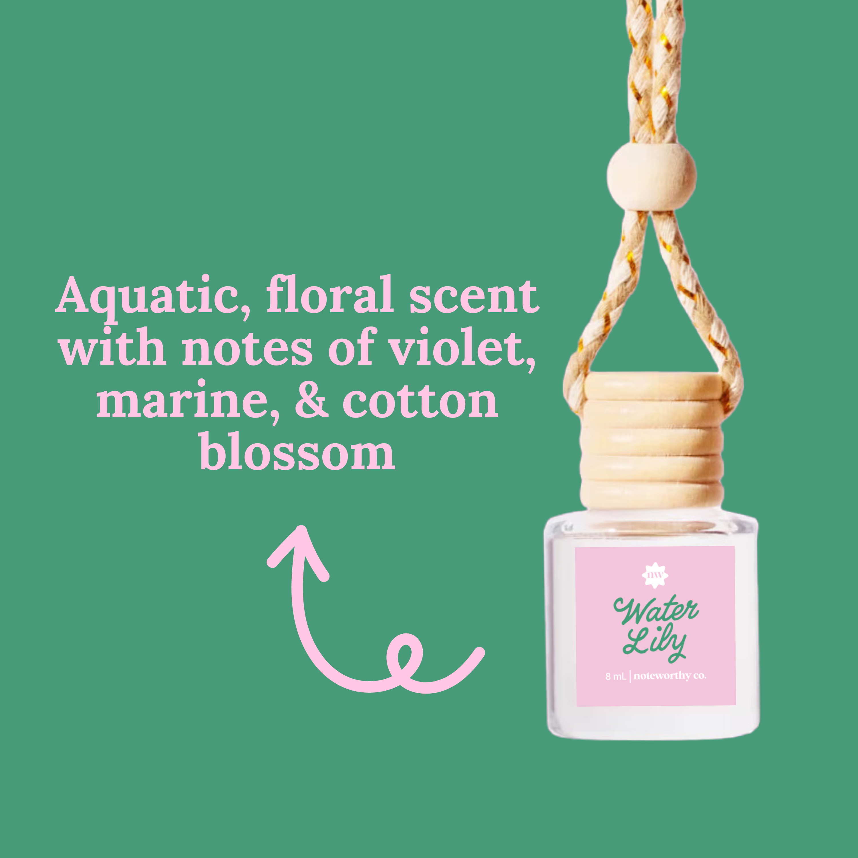 Car Diffusers | Spring & Summer (NEW 2026)