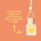 Car Diffusers | Spring & Summer (NEW 2026)
